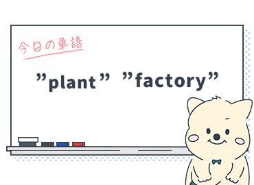 知ってる？"工場"を表す英単語"plant"と"factory"の使い分け_Vol.13